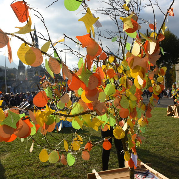 Elles ont lieu les mercredi et jeudi à 18h dans différentes salles du Sanctuaire.