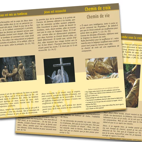 ROSdeplCHEMCROIX 2009 img boutique