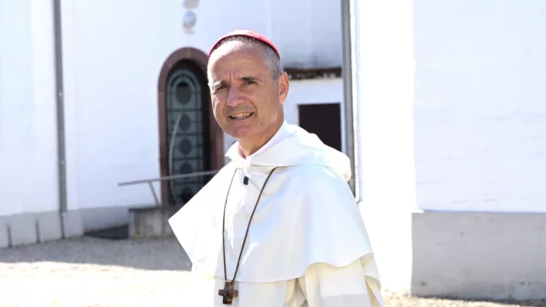 Cardinal Reinhard Marx wearing a white cassock and red zucchetto